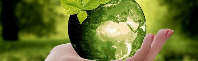 Biodegradable Trash Bags