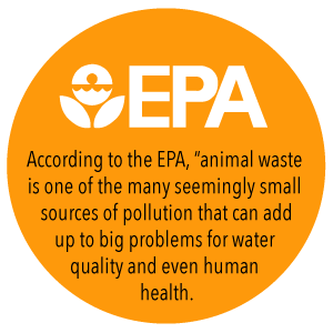 100% biodegradowalny kompostowalny sznurek nieplastikowy worek na śmieci Dostosowany, ekologiczny biodegradowalny kompostowy plastikowy sznurek 1