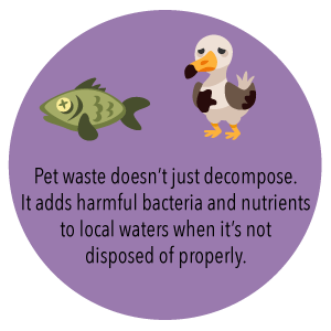 100% biodegradowalny kompostowalny sznurek nieplastikowy worek na śmieci Dostosowany, ekologiczny biodegradowalny kompostowy plastikowy sznurek 2