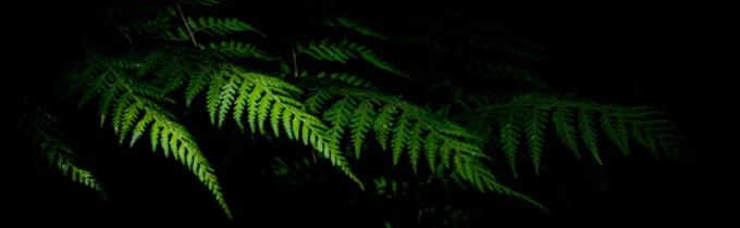 Reinforced handles and dual zipper insulated bag