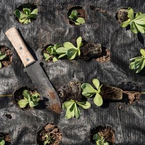 landscape fabric, weed barrier, ecogardener, ecogardener landscape fabric