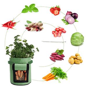 Potatoes Growing Containers