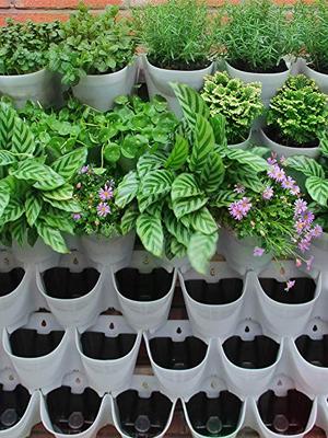 worth garden flower pot wall hung system self watering pots vertical wall installed planter