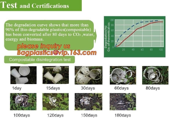 corn starch dinnerware sets biodegradable cake tray, Corn Starch White Molded Fiber Pulp Rectangular Tray Paper Food Tra