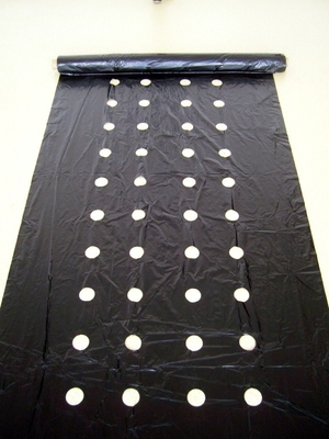 COEX LDPE Mulching film, pe film, horticultural mulch film, garden perforated ground film Agricultural plastic film Blac