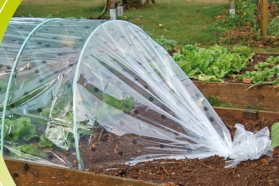 COEX LDPE Mulching film, pe film, horticultural mulch film, garden perforated ground film Agricultural plastic film Blac