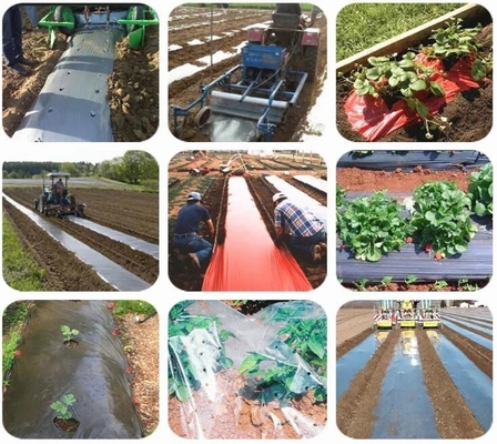 Weed Barrier, Concrete Moisture, Vapor Barrier, Construction Film, Lumber Tarp, Ground Cover Plastic Sheeting Roll 6 MIL