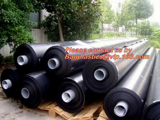 Construction Builder Film Waterproof Dampproof Clear / Black Plastic Poly Film Rolls PVC EPDM PONDS LINER Geomembrane