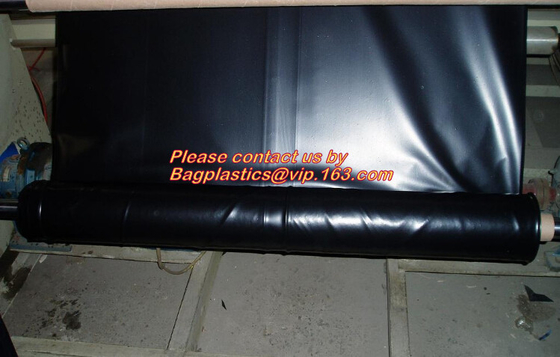 Construction Builder Film Waterproof Dampproof Clear / Black Plastic Poly Film Rolls PVC EPDM PONDS LINER Geomembrane