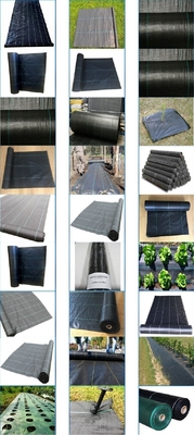 greenhouse shade cloth,sun shade,uv treatment green sun shade mesh,knited safety net,woven weedmat,hdpe anti-shade rate