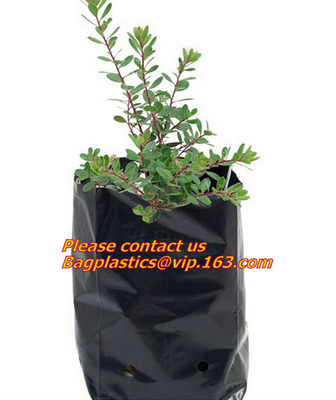 Non-Woven Bags Plant Grow Bags Fabric Seedling Pots Plants Pouch for High Seedling Survival Planting Growing Tree Plants