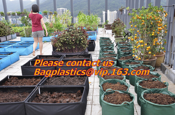 Non-Woven Bags Plant Grow Bags Fabric Seedling Pots Plants Pouch for High Seedling Survival Planting Growing Tree Plants