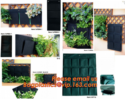 Black & White Poly Film  Panda Poly Film Light Deprivation Greenhouse Cover UV Treated Horticulture Poly Film Sheeting