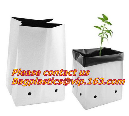 Flower Bags, Flower Plant Bags, Planters, Poly Plant Grow Nursery Bags,Black Polythene Poly Pots, Plantin