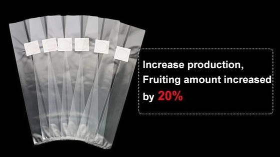 Mushroom Grow Bag For Spawn/Mushroom, GROW BAGS, NURSERY PLANTER, SEED HYDROPONICS, Grow Bags, Garden Patio Plant Flower