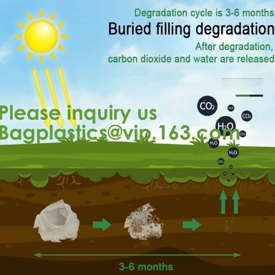 Corn Starch Bag Compostable Biodegradable Plastic Bags Corn Starch Based Biodegradable Bag Plastic