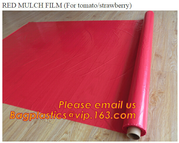 Agricultural Mulching Film Used for Fruit, Flower and Vegetable Polyethylene Covering, Gt4 Year 6 Mil 12ft. X 25ft Green
